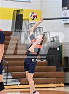 Photo from the gallery "DSST: Cedar @ Thomas Jefferson"