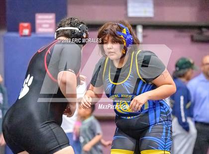 Thumbnail 3 in CIF SDS DI Championship Finals photogallery.