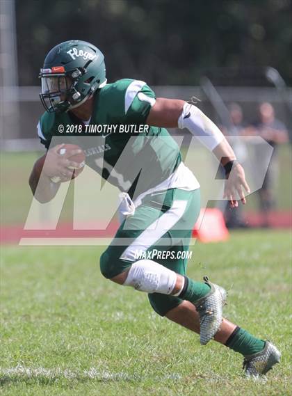 Thumbnail 1 in Sachem East @ William Floyd photogallery.