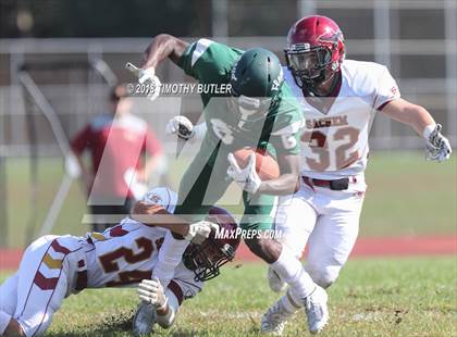 Thumbnail 1 in Sachem East @ William Floyd photogallery.