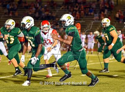 Thumbnail 2 in Ponder @ Benbrook photogallery.
