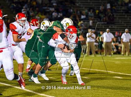 Thumbnail 3 in Ponder @ Benbrook photogallery.