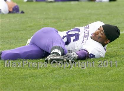 Thumbnail 3 in New Rochelle @ North Rockland photogallery.