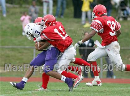 Thumbnail 3 in New Rochelle @ North Rockland photogallery.