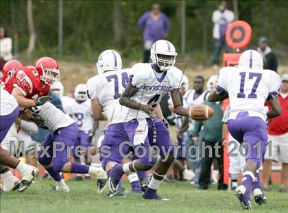Thumbnail 2 in New Rochelle @ North Rockland photogallery.
