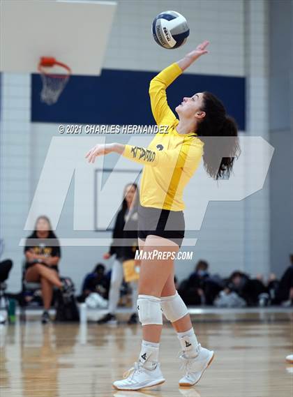 Thumbnail 1 in Hawley vs. Sealy (BCS Classic) photogallery.