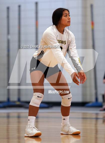 Thumbnail 1 in Hawley vs. Sealy (BCS Classic) photogallery.