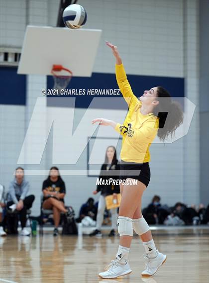 Thumbnail 2 in Hawley vs. Sealy (BCS Classic) photogallery.