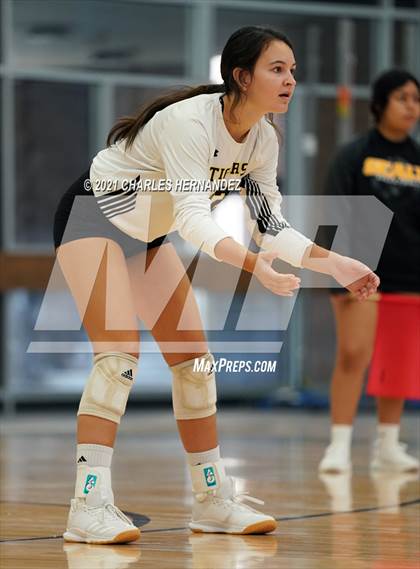 Thumbnail 1 in Hawley vs. Sealy (BCS Classic) photogallery.