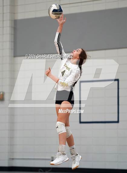 Thumbnail 1 in Hawley vs. Sealy (BCS Classic) photogallery.
