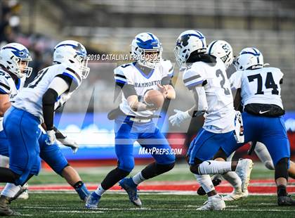 Thumbnail 1 in Hammonton vs. Shawnee (NJSIAA South Group 4 Regional Final)  photogallery.