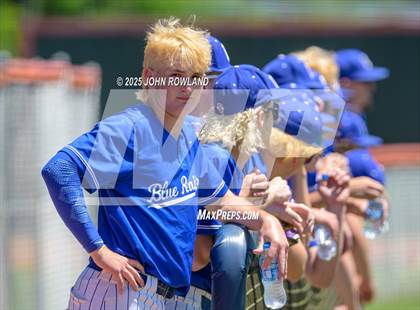 Thumbnail 3 in Cleveland vs. Blackman (AAAA Sectional) photogallery.