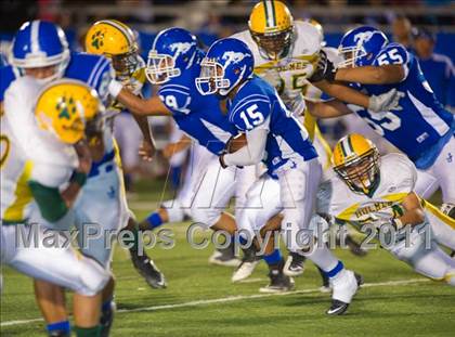 Thumbnail 3 in Holmes @ Jay photogallery.