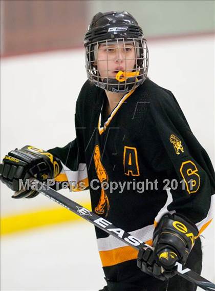 Thumbnail 3 in St. Croix Valley (River Falls) vs Eveleth-Gilbert (Schwan Cup) photogallery.