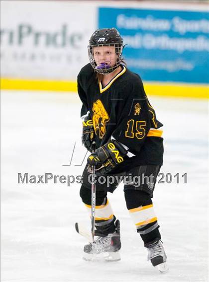 Thumbnail 2 in St. Croix Valley (River Falls) vs Eveleth-Gilbert (Schwan Cup) photogallery.