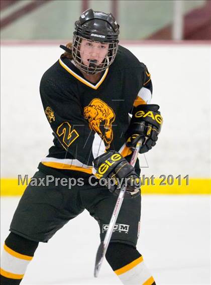 Thumbnail 3 in St. Croix Valley (River Falls) vs Eveleth-Gilbert (Schwan Cup) photogallery.