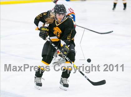 Thumbnail 2 in St. Croix Valley (River Falls) vs Eveleth-Gilbert (Schwan Cup) photogallery.
