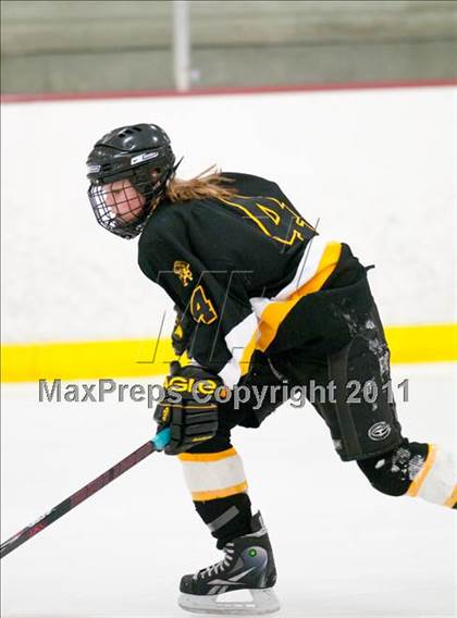 Thumbnail 2 in St. Croix Valley (River Falls) vs Eveleth-Gilbert (Schwan Cup) photogallery.