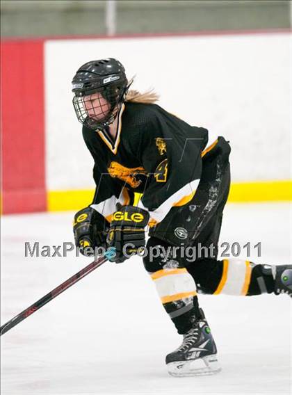 Thumbnail 1 in St. Croix Valley (River Falls) vs Eveleth-Gilbert (Schwan Cup) photogallery.
