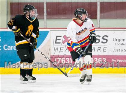 Thumbnail 3 in St. Croix Valley (River Falls) vs Eveleth-Gilbert (Schwan Cup) photogallery.