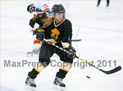 Thumbnail 3 in St. Croix Valley (River Falls) vs Eveleth-Gilbert (Schwan Cup) photogallery.