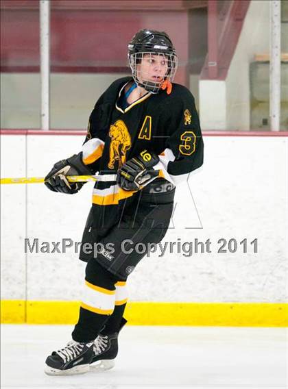 Thumbnail 2 in St. Croix Valley (River Falls) vs Eveleth-Gilbert (Schwan Cup) photogallery.