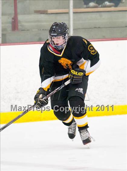 Thumbnail 1 in St. Croix Valley (River Falls) vs Eveleth-Gilbert (Schwan Cup) photogallery.