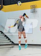 Photo from the gallery "Wellington @ Thompson Valley"
