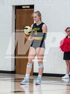 Photo from the gallery "Wellington @ Thompson Valley"