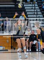 Photo from the gallery "Wellington @ Thompson Valley"