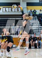 Photo from the gallery "Wellington @ Thompson Valley"