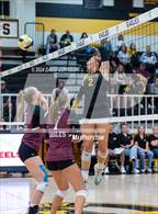 Photo from the gallery "Wellington @ Thompson Valley"