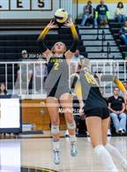 Photo from the gallery "Wellington @ Thompson Valley"