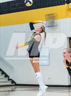 Photo from the gallery "Wellington @ Thompson Valley"