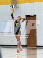 Photo from the gallery "Wellington @ Thompson Valley"