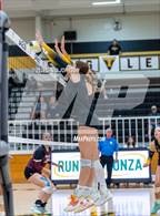 Photo from the gallery "Wellington @ Thompson Valley"