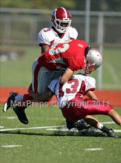 Thumbnail 2 in Bulkeley @ Conard photogallery.