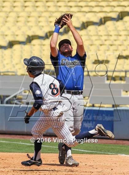 Thumbnail 1 in Chatsworth vs. El Camino Real (CIF L.A. City Section D1 Final) photogallery.