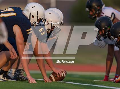 Thumbnail 2 in Langham Creek (JV Blk) @ Cypress Ranch photogallery.