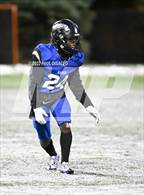 Photo from the gallery "Castle View @ Highlands Ranch"