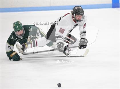 Thumbnail 3 in Mountain Vista @ Chatfield photogallery.