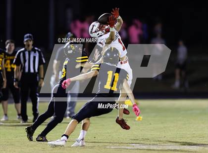 Thumbnail 2 in Muenster @ Era photogallery.