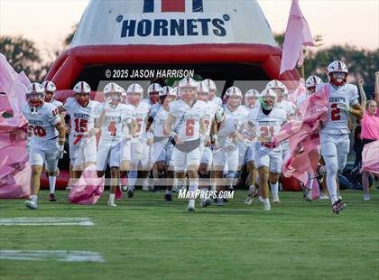 Thumbnail 1 in Muenster @ Era photogallery.