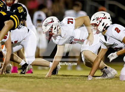 Thumbnail 2 in Muenster @ Era photogallery.