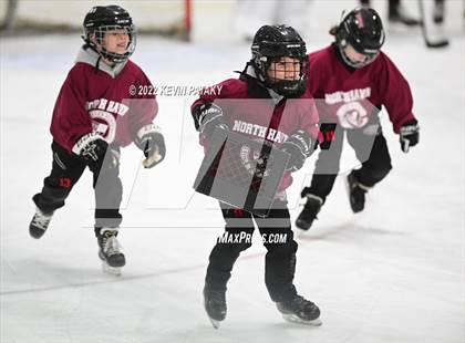 Thumbnail 3 in Sheehan @ North Haven photogallery.