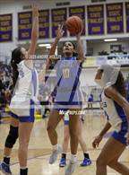 Photo from the gallery "Homestead vs. Hamilton Southeastern (IHSAA 4A Marion Regional) "
