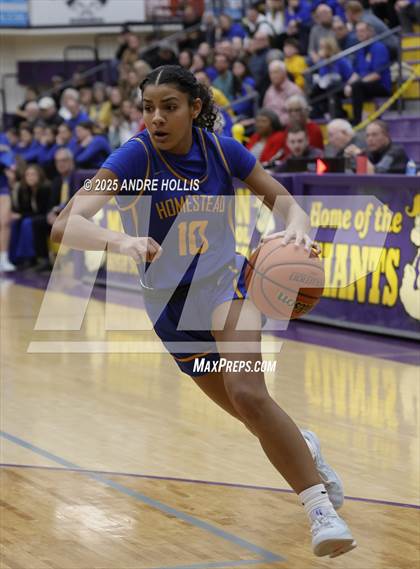 Thumbnail 3 in Homestead vs. Hamilton Southeastern (IHSAA 4A Marion Regional)  photogallery.