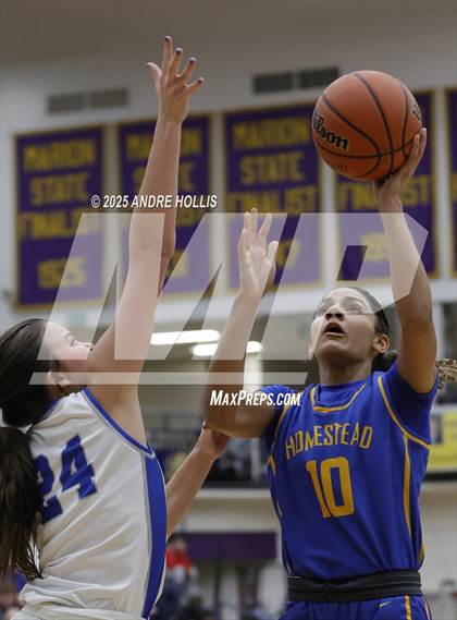 Thumbnail 2 in Homestead vs. Hamilton Southeastern (IHSAA 4A Marion Regional)  photogallery.