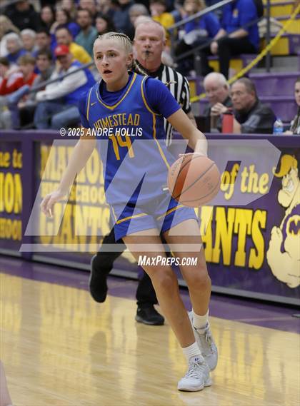 Thumbnail 2 in Homestead vs. Hamilton Southeastern (IHSAA 4A Marion Regional)  photogallery.
