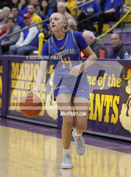 Thumbnail 1 in Homestead vs. Hamilton Southeastern (IHSAA 4A Marion Regional)  photogallery.